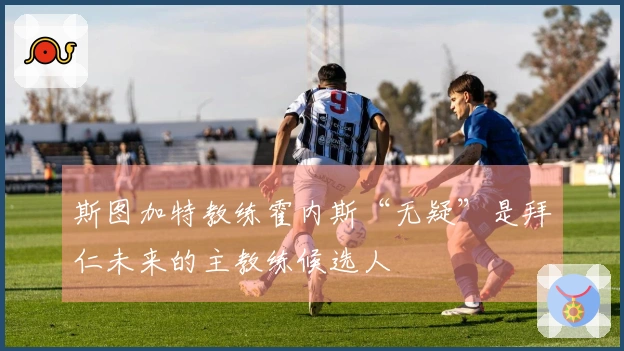 斯图加特教练霍内斯“无疑”是拜仁未来的主教练候选人